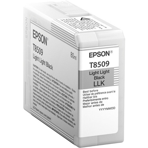 Epson UltraChrome HD T850 Original Inkjet Ink Cartridge - Light Black Pack T850900