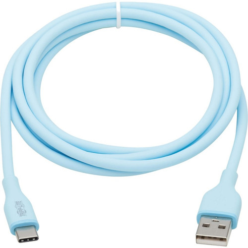 Tripp Lite by Eaton Safe-IT USB/USB-C Data Transfer Cable U038AB-003-S-LB