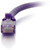 C2G C2G 2ft Cat6 Ethernet Cable - Snagless Unshielded (UTP) - Purple 04025