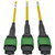 Tripp Lite by Eaton N48K-15M8L60S-B 9/125 Breakout Fiber Patch Panel N48K-15M8L60S-B