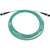 Tripp Lite by Eaton N844B-05M-12-P Fiber Optic Network Cable N844B-05M-12-P