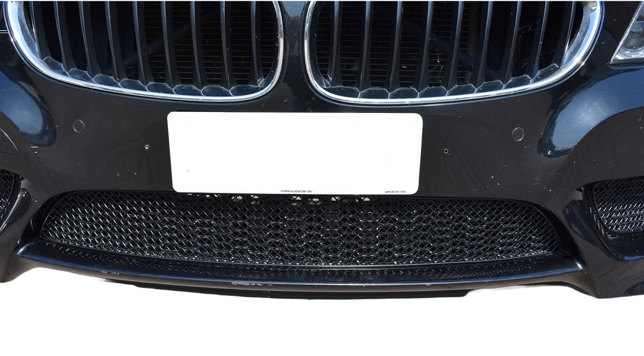 BMW Z4 E89 Sdrive20i M Sport - Lower Grille Zunsport