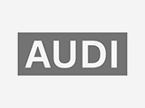 Audi Grilles