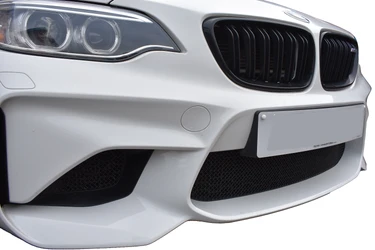 Grille Guard Versus Stone Deflector: Which Fits?