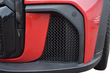 Mesh Grille vs Radiator Guard