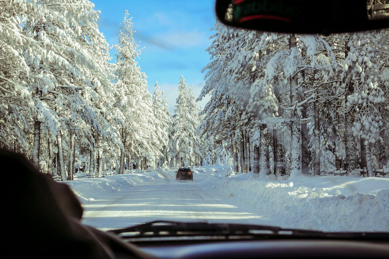 driving-in-snow""/