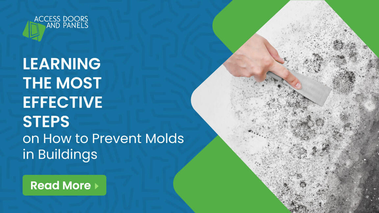 ​Learning the Most Effective Steps on How to Prevent Molds in Buildings