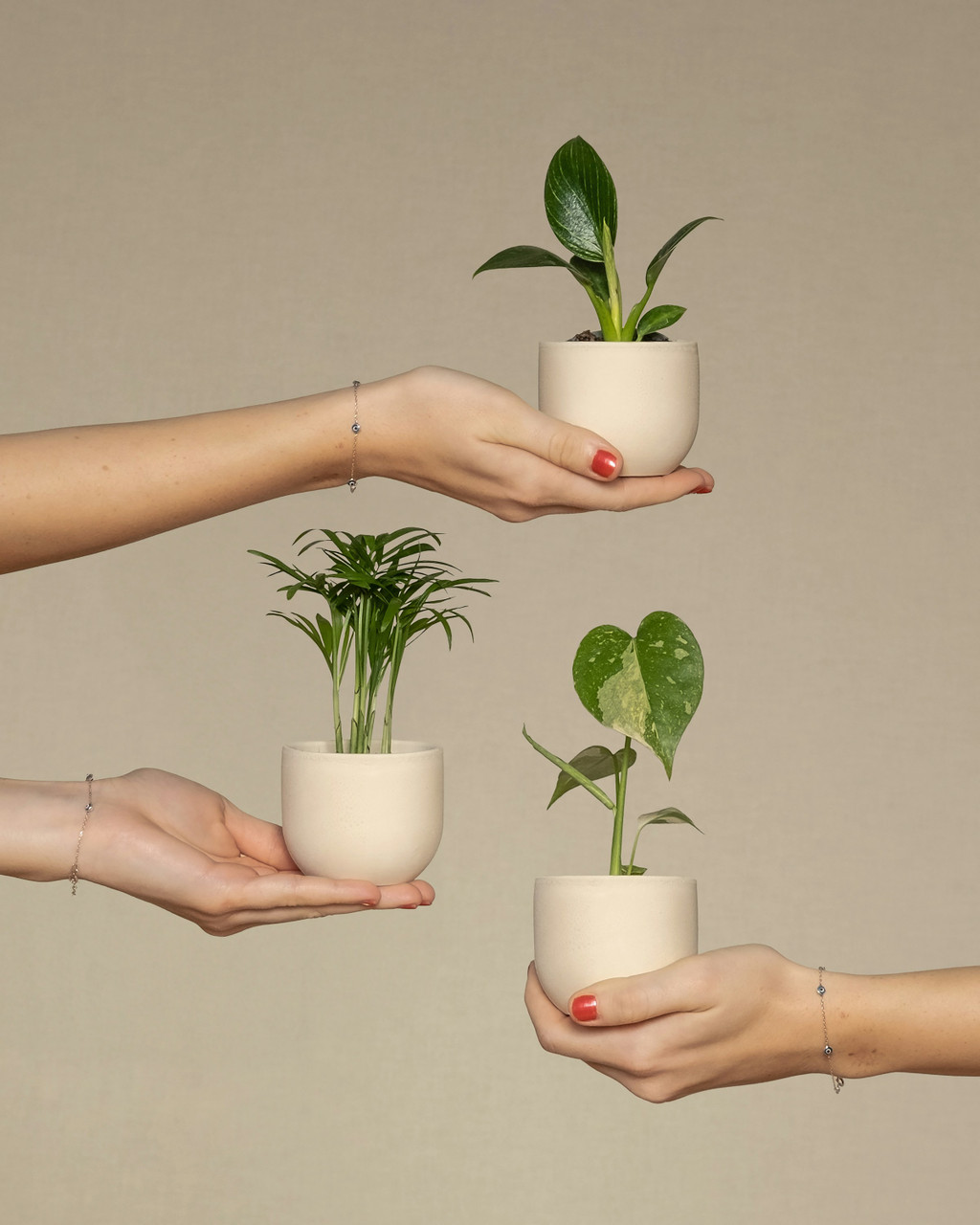 happy plant box Birthday Gift | Plant Gifts main image 0