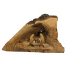 CAVE GROTTO FROM ROOT OF TREE - E-37