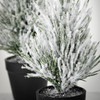 FLOCKED PINE TREE- TR1116