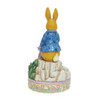 PETER RABBIT WITH ONIONS  - 6010687