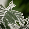 FROSTED LEAF ORNAMENT - OR10592