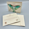 LUNA MOTH ORNAMENT AND NOTECARD - HB015