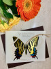 TIGER SWALLOWTAIL BUTTERFLY ORNAMENT AND NOTECARD - HB012