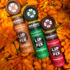 LIP FIX HERBAL LIP BALM - PEPPERMINT FRANKINCENSE CALENDULA - 121023