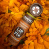 LIP FIX HERBAL LIP BALM - VANILLA TANGERINE CALENDULA - 121123