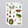 CRITTERS ON THE MOVE TATTOO SHEETS - 8014-06