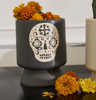 BLACK SUGAR SKULL POSADA POT - 50680.55