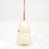 HOPE YOUR HOLIDAYS ARE GAY ORNAMENT - 6014224