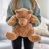 SIR SNUGGLEPAWS PLUSH TEDDY BEAR - 6017979