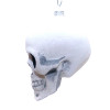 SKULL - HANDCRAFTED POLISH ORNAMENT - 2449