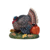 HALLOWEEN - TOM TURKEY - 6014709