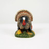 HALLOWEEN - TOM TURKEY - 6014709