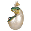 BABY DINO IN EGG - 12747