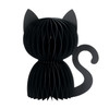 HONEYCOMB HALLOWEEN CAT FLAT BOTTOM - 6019747