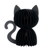 HONEYCOMB HALLOWEEN CAT FLAT BOTTOM - 6019747