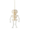 HONEYCOMB HALLOWEEN SKELETON ORNAMENT - 6019756