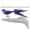 PURPLE MARTIN - 18071