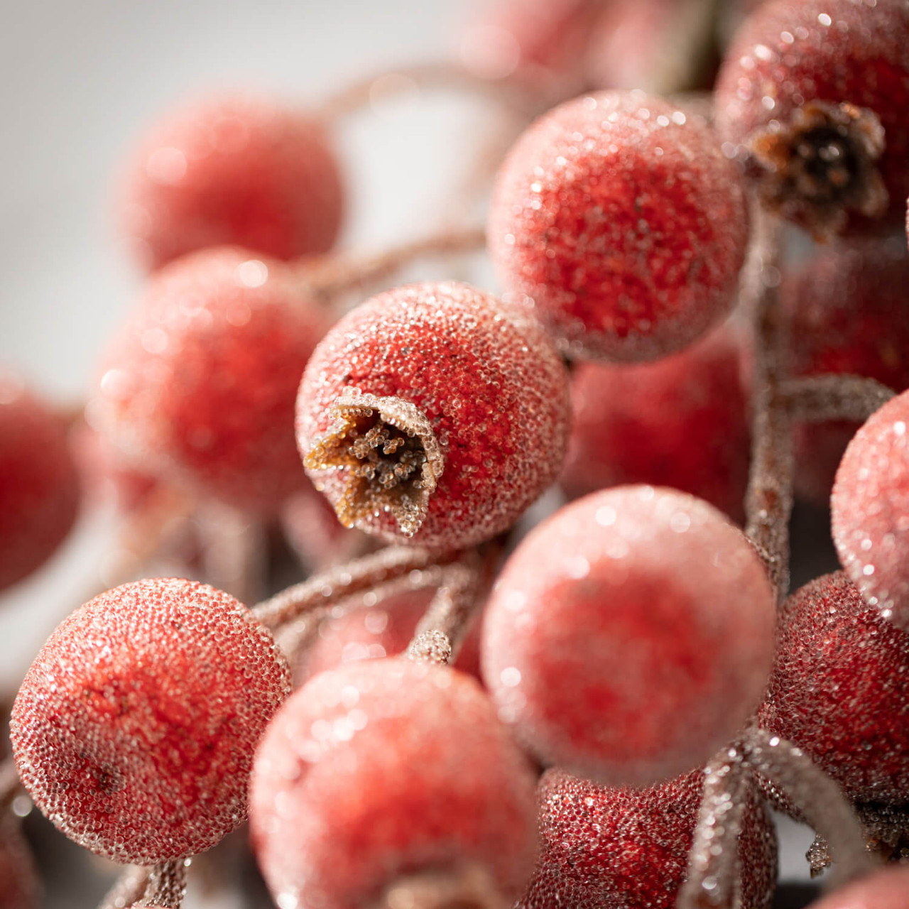 Wholesale Berry Spray, Stems Red Berries