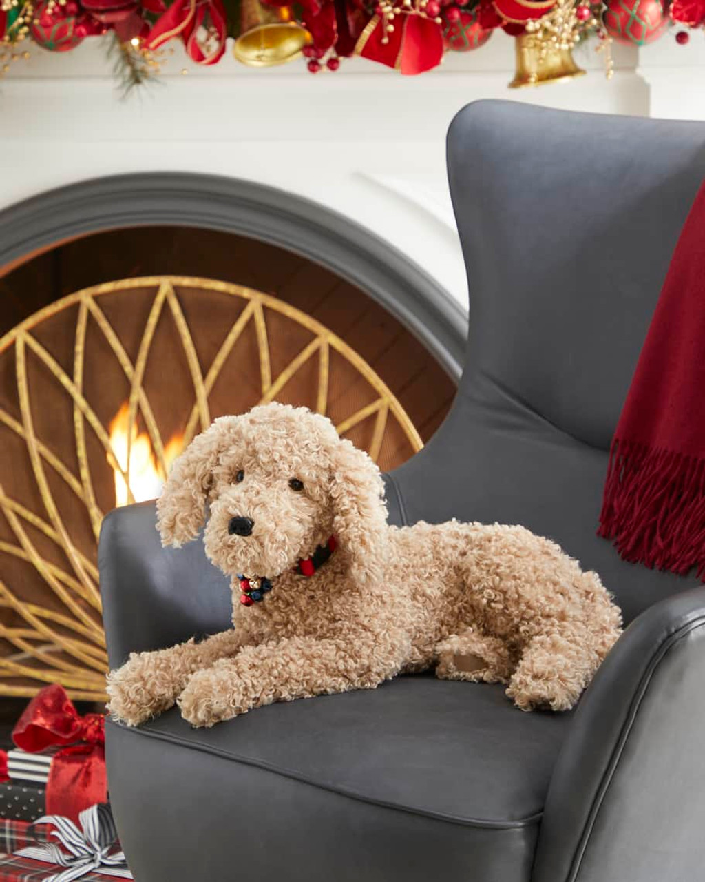 Goldendoodle Names  The Top 117 Most Popular