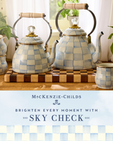 Introducing Sky Check: A Breath of Fresh Air for Everyday Moments