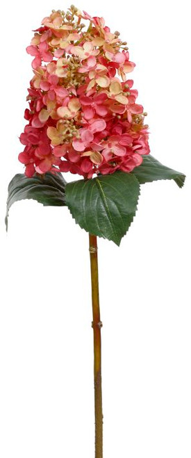 CONE HYDRANGEA- 19.5"- 08-20506-DPK