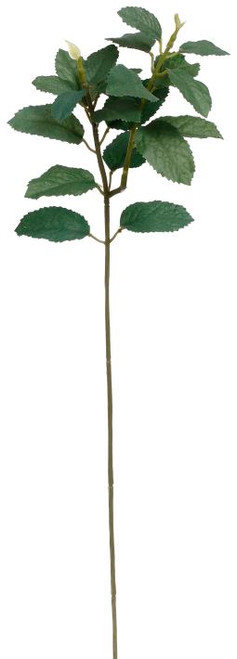 GREEN PITTOSPORUM SPRAY- 19"- 08-20534-GRN