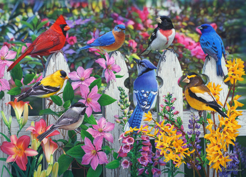 SONG BIRDS PUZZLE - VC1212