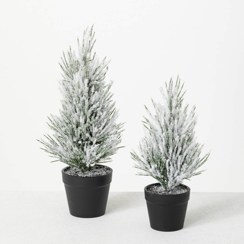 FLOCKED PINE TREE- TR1116