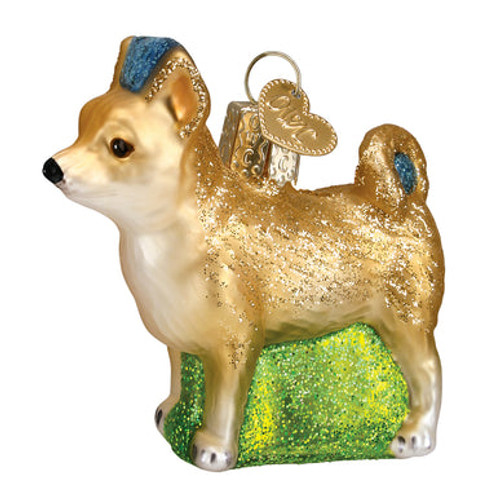 CHIHUAHUA - 12281
