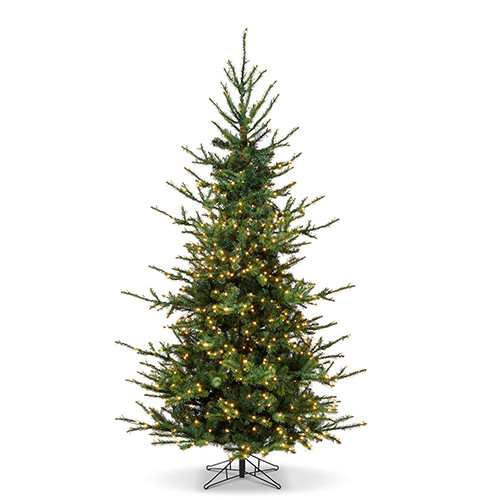 7.5' ROCKY MOUNTAIN SPRUCE WITH BRILLIANT LED LIGHTS - T4409552