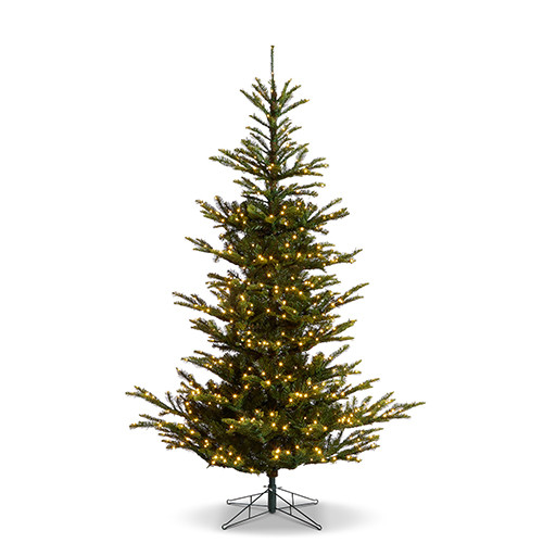 7.5' NORWEGIAN SPRUCE WITH BRILLIANT LED LIGHTS   - T4409564