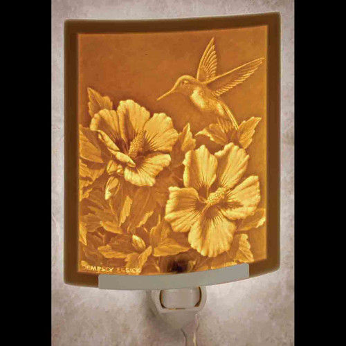 HUMMERS CHOICE CURVED NIGHT LIGHT - NR204