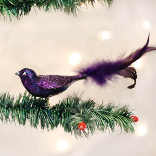 PURPLE MARTIN - 18071