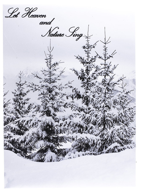 HEAVEN & NATURE - OSW207958