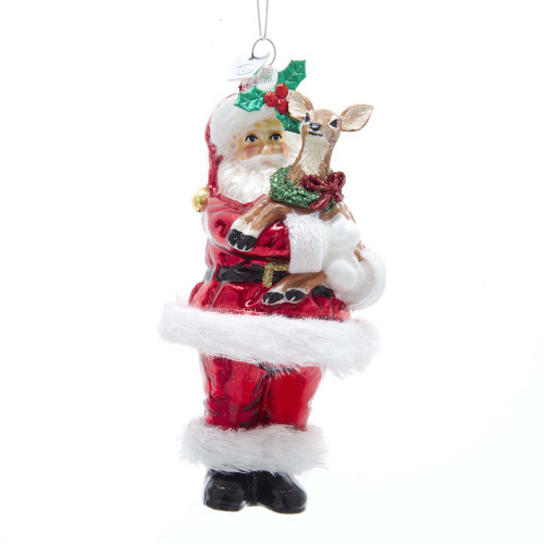SANTA WITH REINDEER