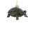 LAND TURTLE ORN - NB0581