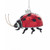LADYBUG ORN - NB1356