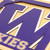UW HUSKIES LOGO SERIES WALL ART - 2507040