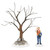 THE HARDY ASH - 6007599